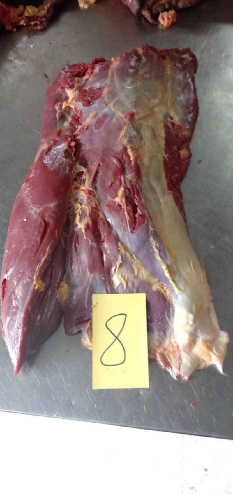 马肉