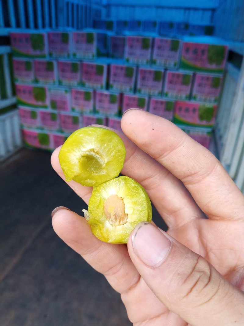 香脆李