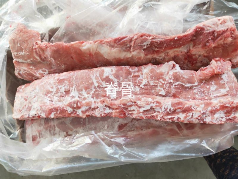 龙骨