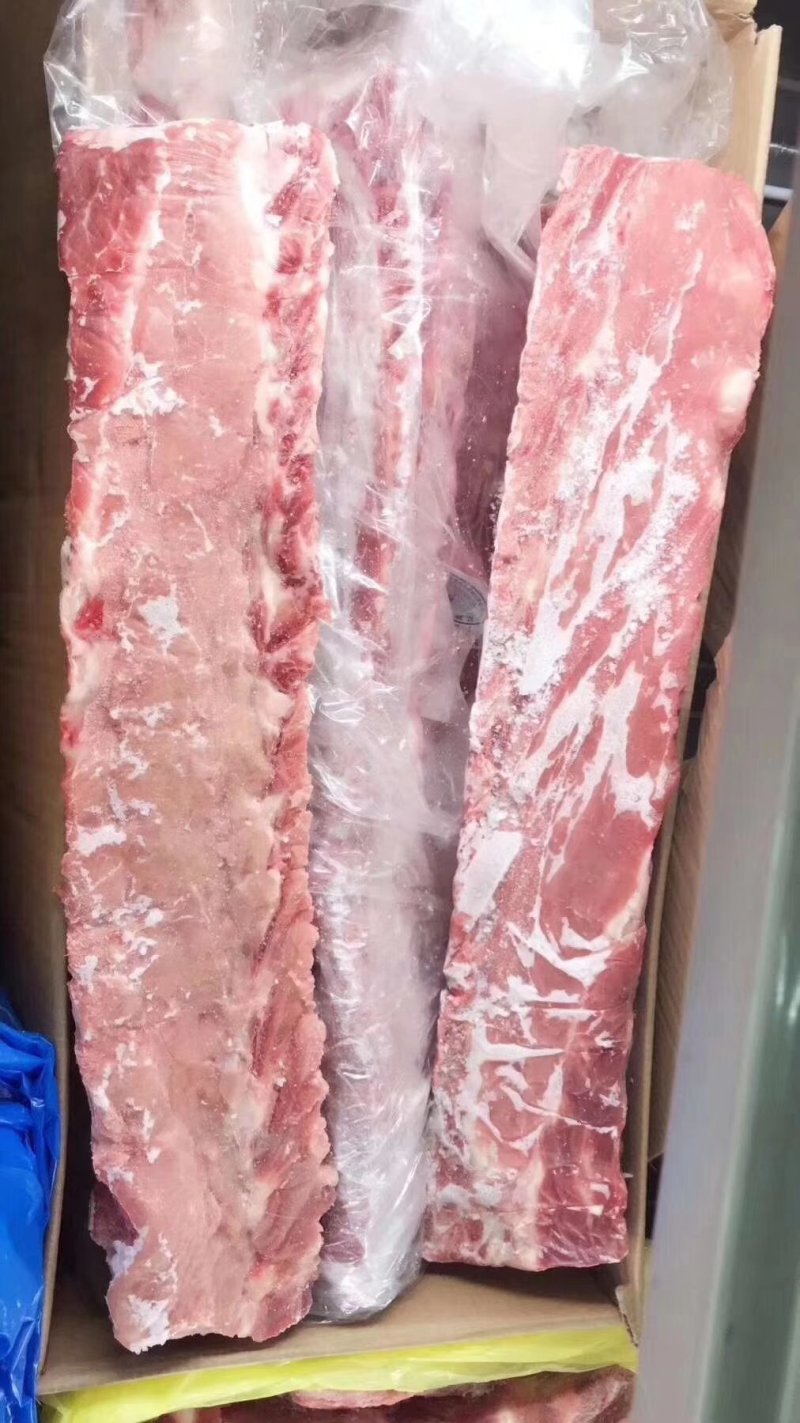 龙骨