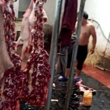 带皮驴肉