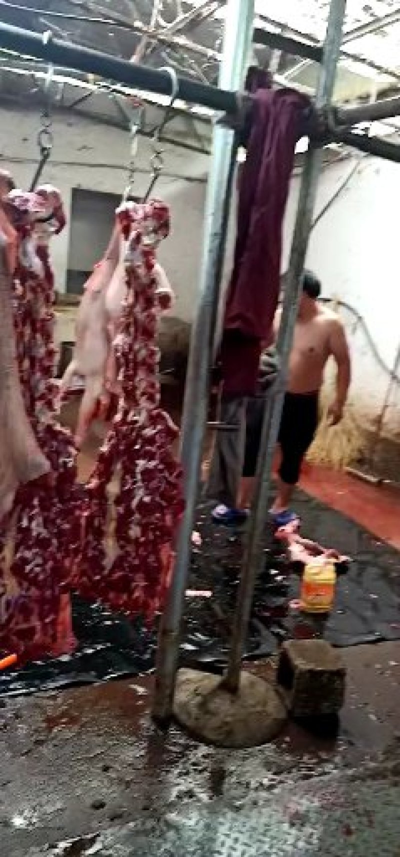 带皮驴肉