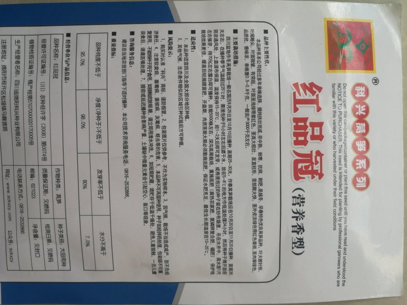 耐寒红尖叶莴笋种子（红品冠）