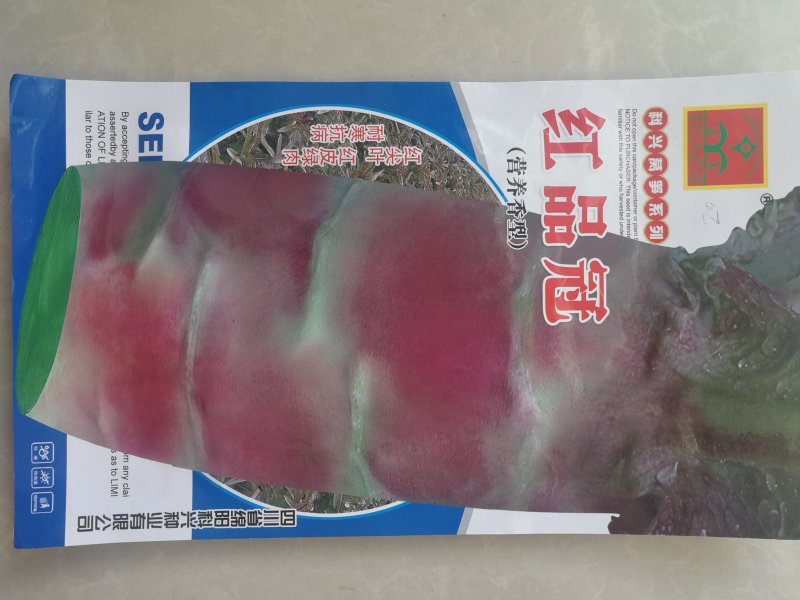耐寒红尖叶莴笋种子（红品冠）