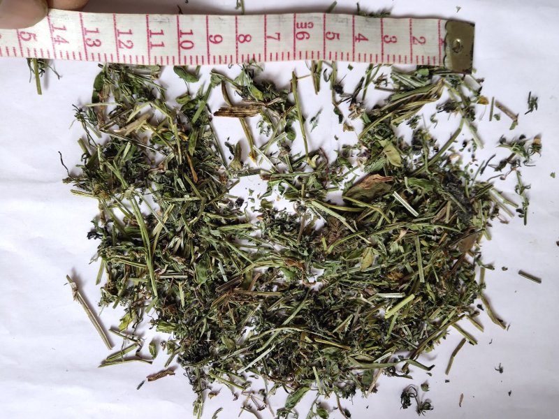 地丁统货苦地丁批发零售品种齐全苦地丁1000克