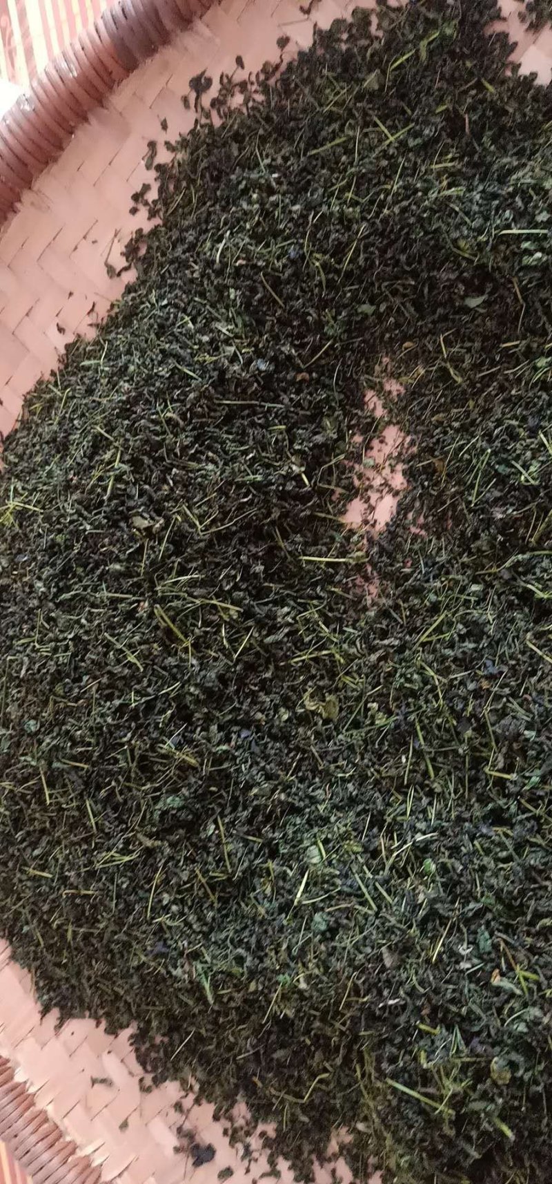 辣木茶有芳香茶盏味无苦
