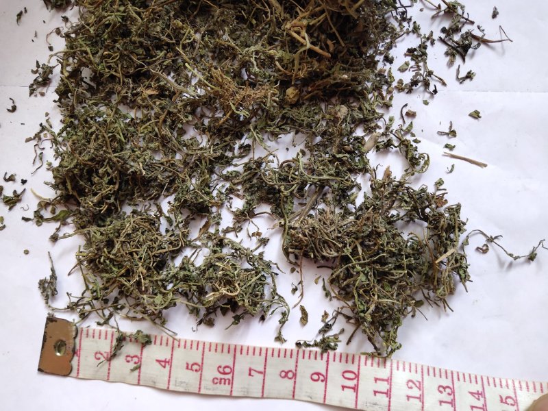 鹅不食草统货批发零售品种齐全量大从优