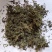 鹅不食草统货批发零售品种齐全量大从优