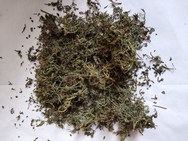 鹅不食草统货批发零售品种齐全量大从优