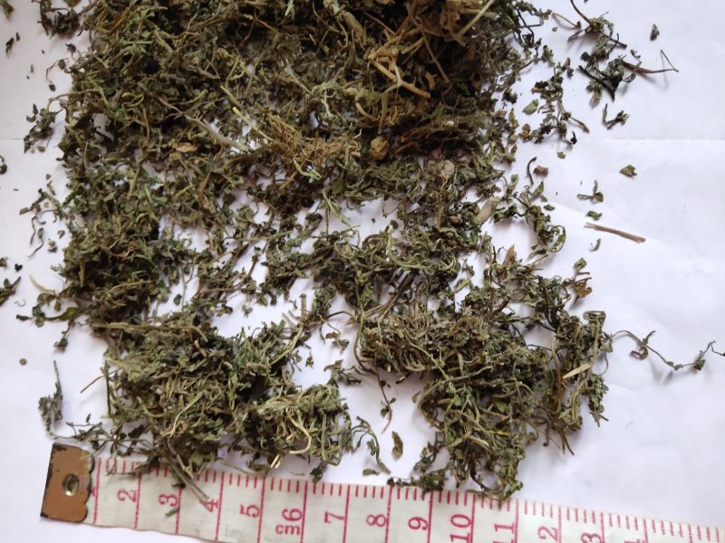 鹅不食草统货批发零售品种齐全量大从优