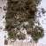 鹅不食草统货批发零售品种齐全量大从优