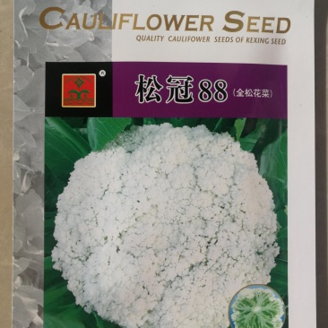 厂家直销青梗松花菜种子90天有机花菜种子