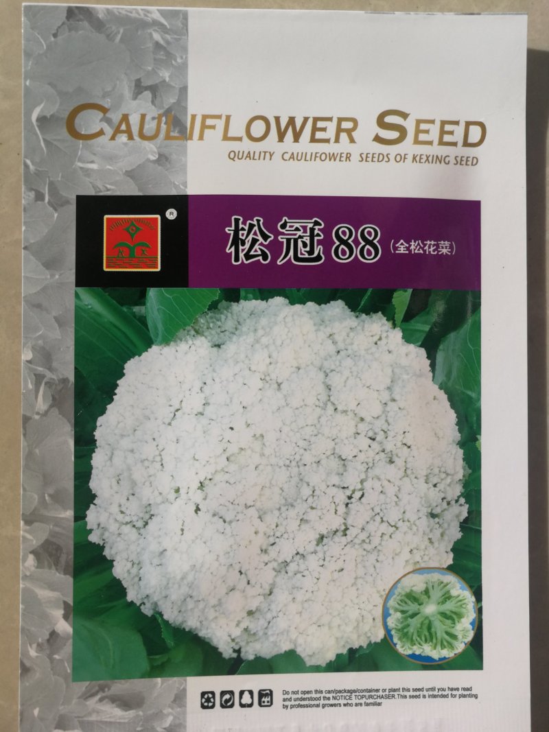 厂家直销青梗松花菜种子90天有机花菜种子