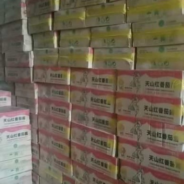 番茄酱1/12