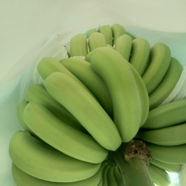巴西香蕉