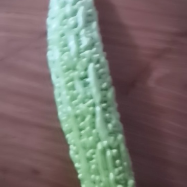 青皮苦瓜
