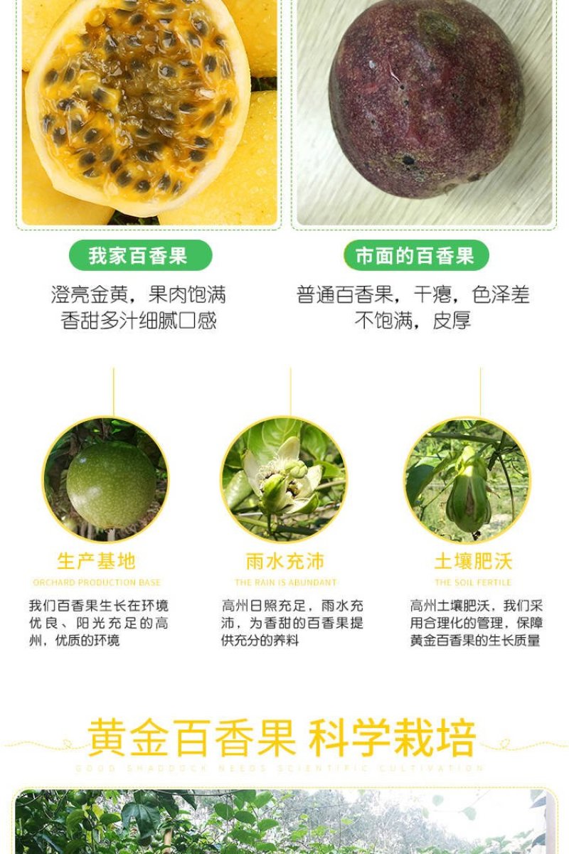 黄金百香果微商电商一件代发