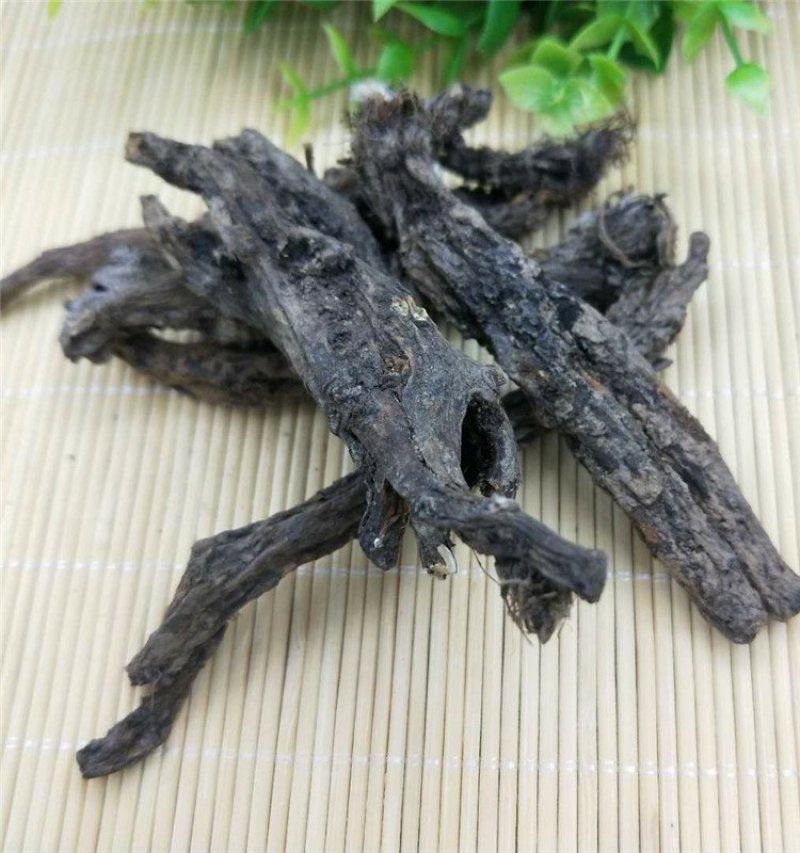 虎掌草虎掌根供应上千种中药材