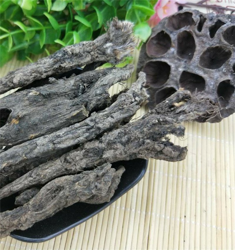 虎掌草虎掌根供应上千种中药材