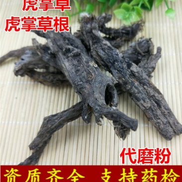 虎掌草虎掌根供应上千种中药材