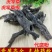 虎掌草虎掌根供应上千种中药材