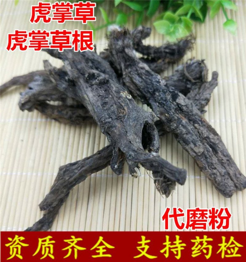 虎掌草虎掌根供应上千种中药材