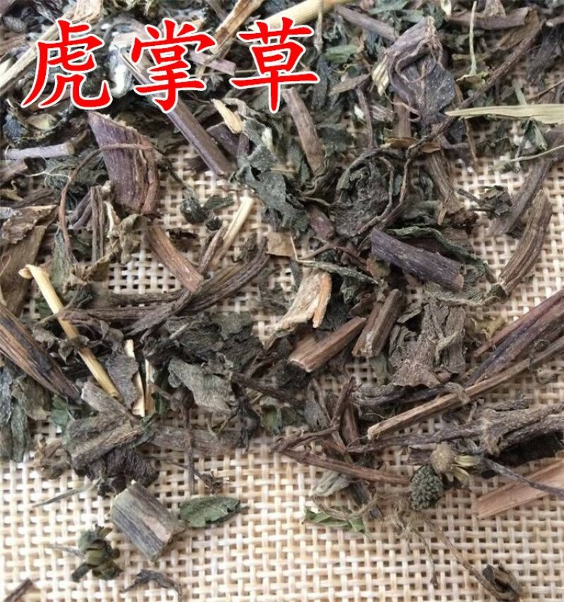 虎掌草虎掌根供应上千种中药材