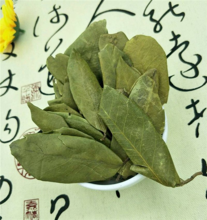 胡秃子叶供应上千种中药材