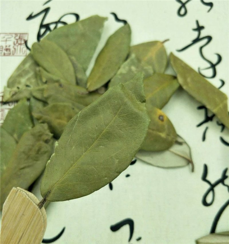 胡秃子叶供应上千种中药材