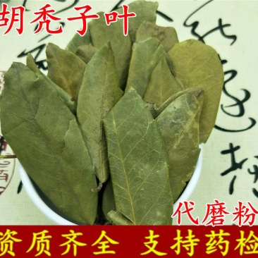胡秃子叶供应上千种中药材