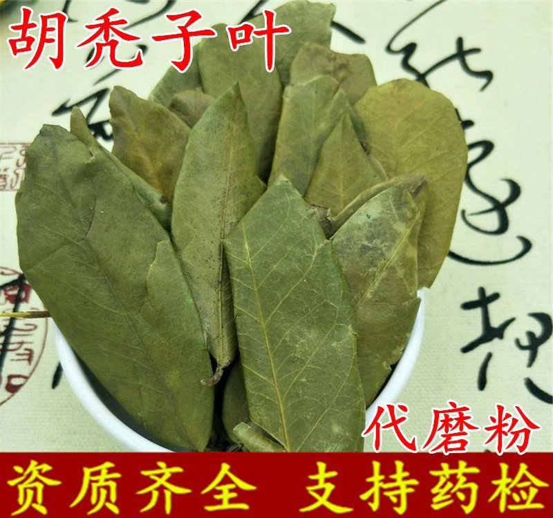 胡秃子叶供应上千种中药材