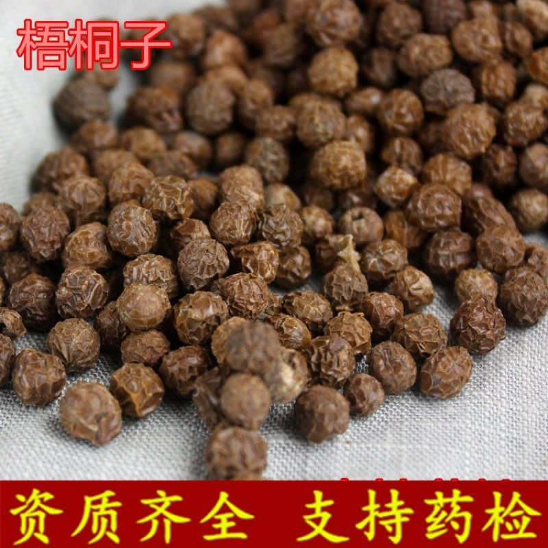 梧桐子供应上千种中药材