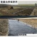 防渗膜鱼塘专用养殖防水膜蓄水池防水布藕池土工膜黑色塑料膜