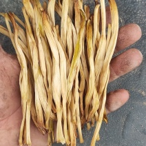 黄花菜陕西大荔直条菜无硫95干原产地直发