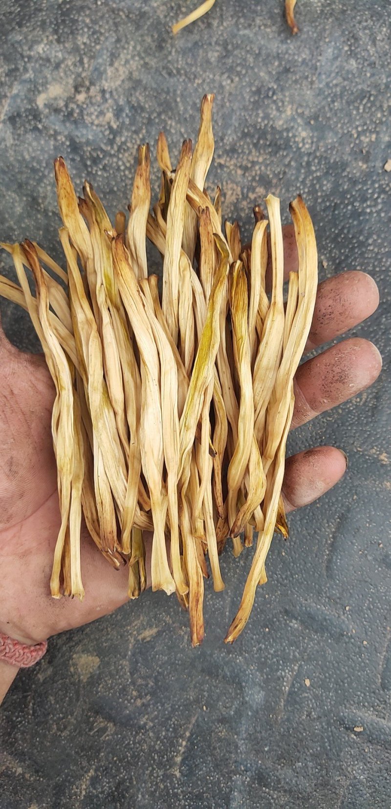 黄花菜陕西大荔直条菜无硫95干原产地直发
