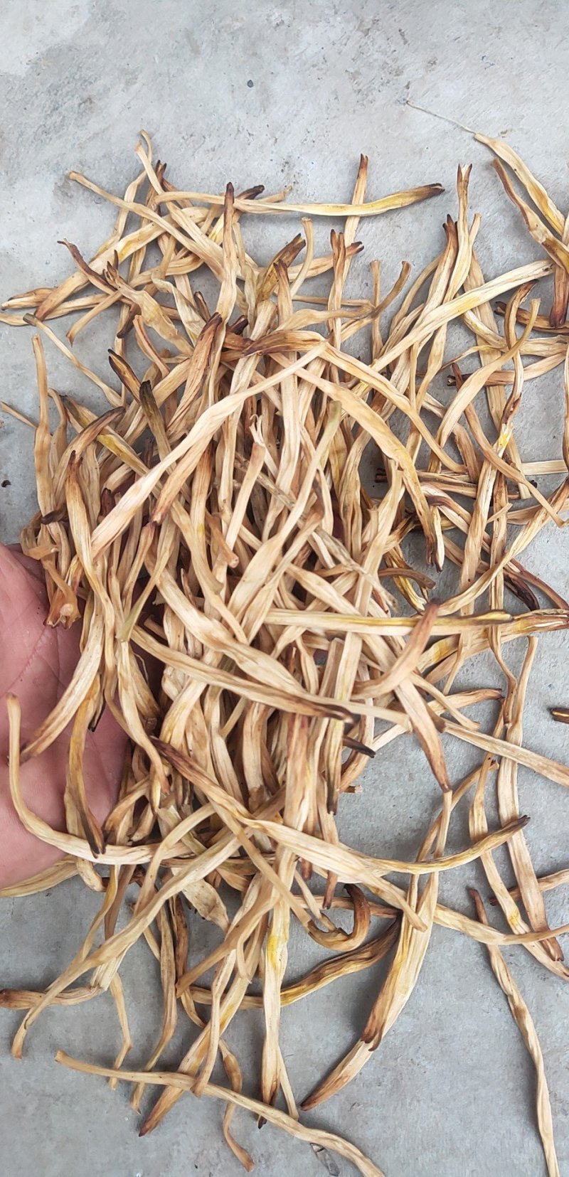 黄花菜陕西大荔直条菜无硫95干原产地直发