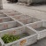 黄花菜陕西大荔直条菜无硫95干原产地直发
