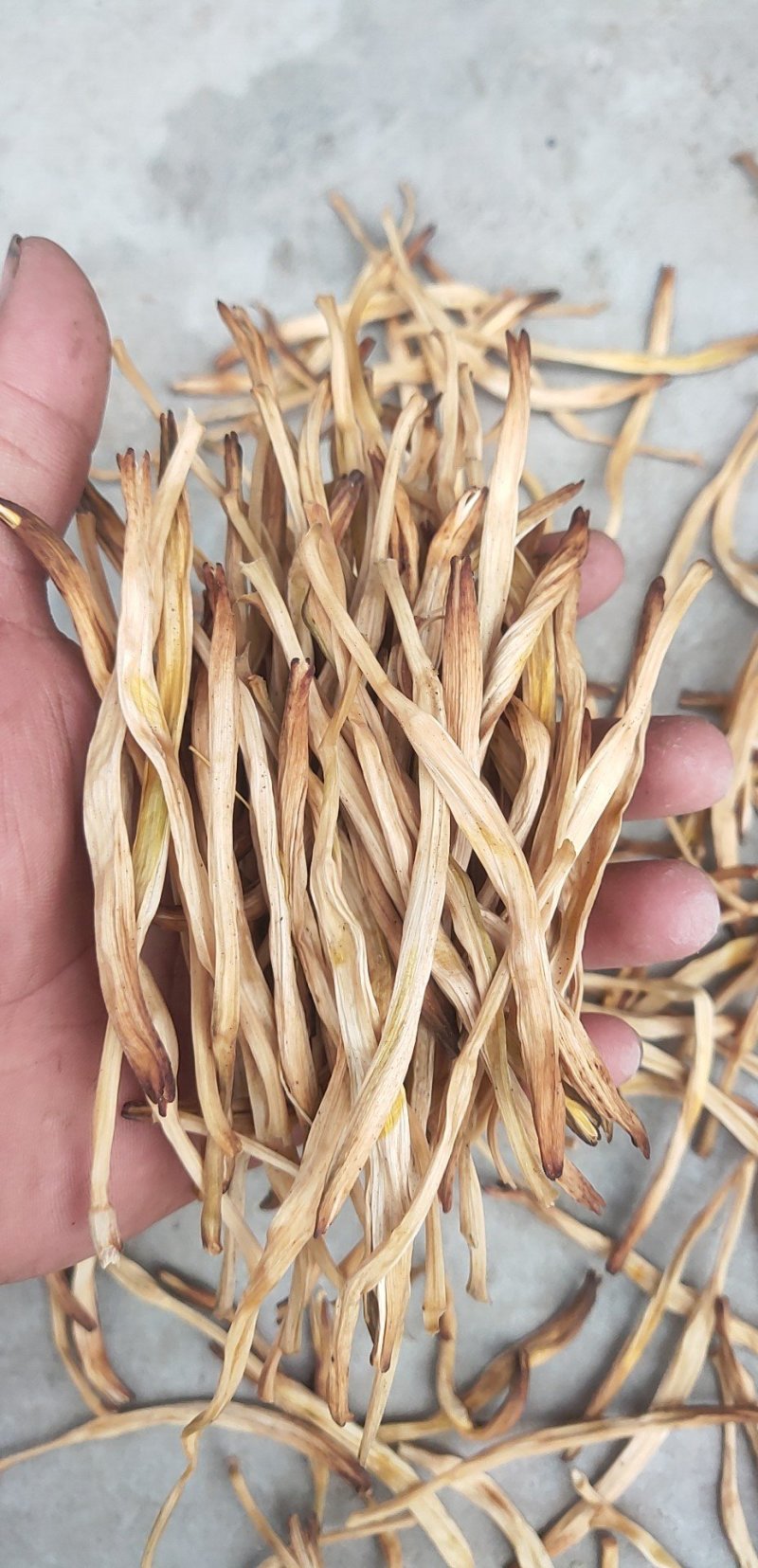 黄花菜陕西大荔直条菜无硫95干原产地直发