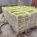 黄花菜陕西大荔直条菜无硫95干原产地直发