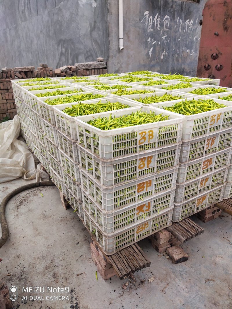 黄花菜陕西大荔直条菜无硫95干原产地直发