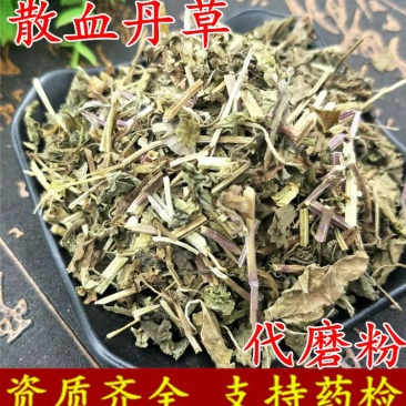 散血丹草散血丹供应上千种中药材