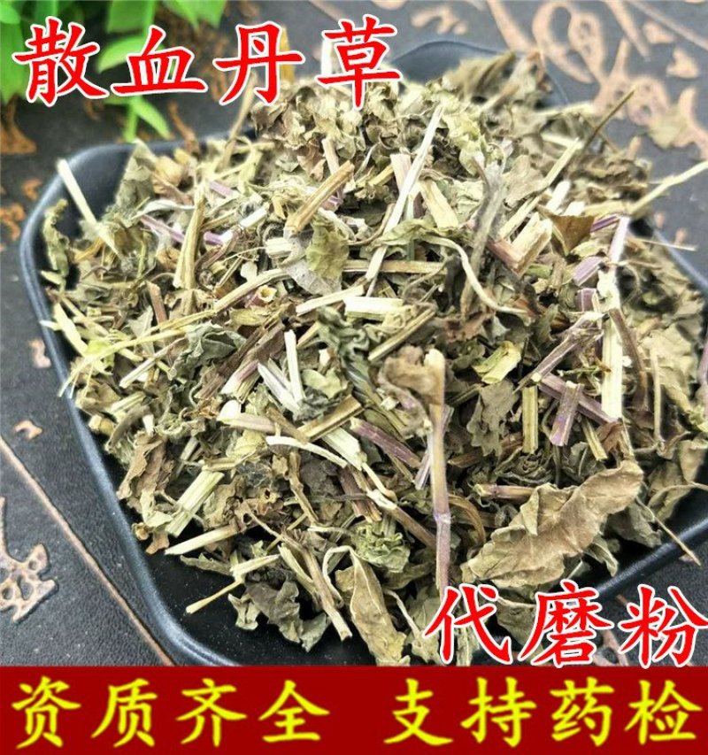 散血丹草散血丹供应上千种中药材