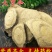 大罗伞供应上千种中药材