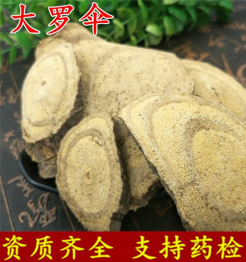 大罗伞供应上千种中药材