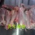 牛小腿乳牛棒骨！小牛腿一件40斤25个左右适合酒店加工厂