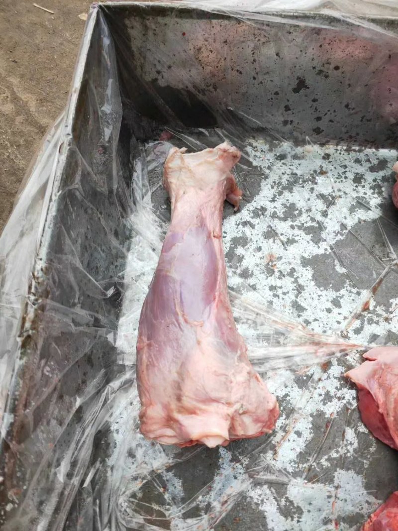 牛小腿乳牛棒骨！小牛腿一件40斤25个左右适合酒店加工厂