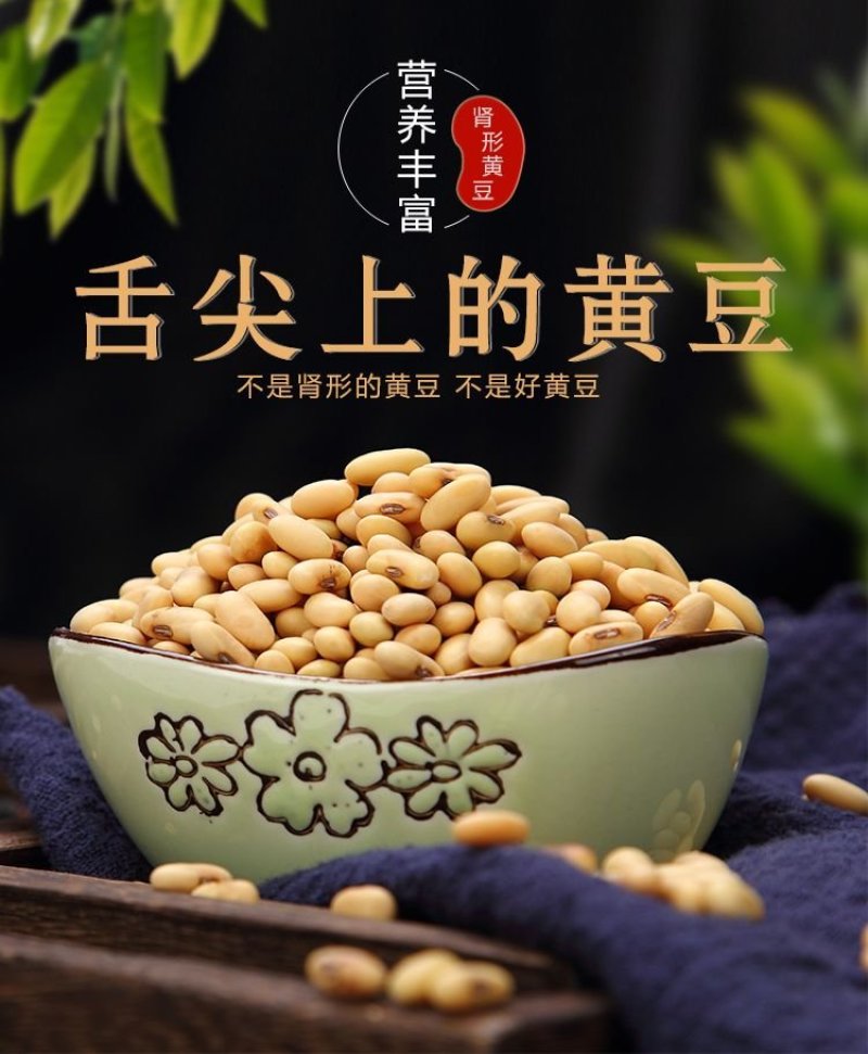 山西肾型黄豆原始品种
