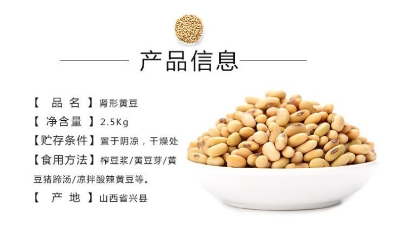 山西肾型黄豆原始品种