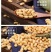 山西肾型黄豆原始品种