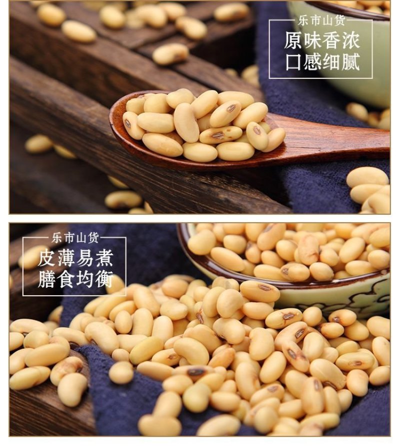 山西肾型黄豆原始品种